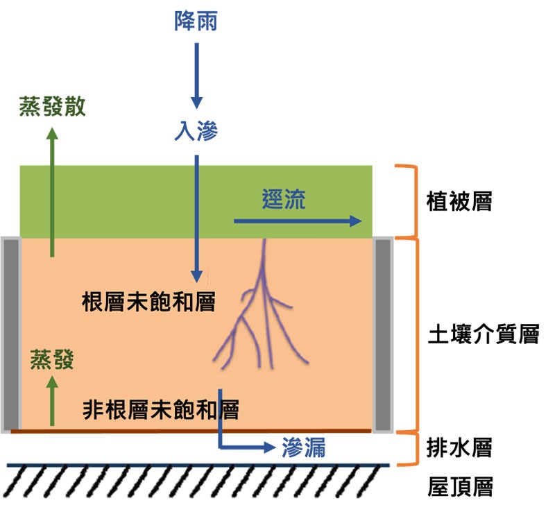 綠屋頂水文模式概念圖